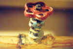 "". 1998.